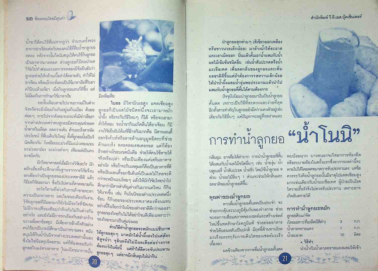 ยอ พืชพรรณไทย มีคุณค่า เป็นทั้งอาหารและยา