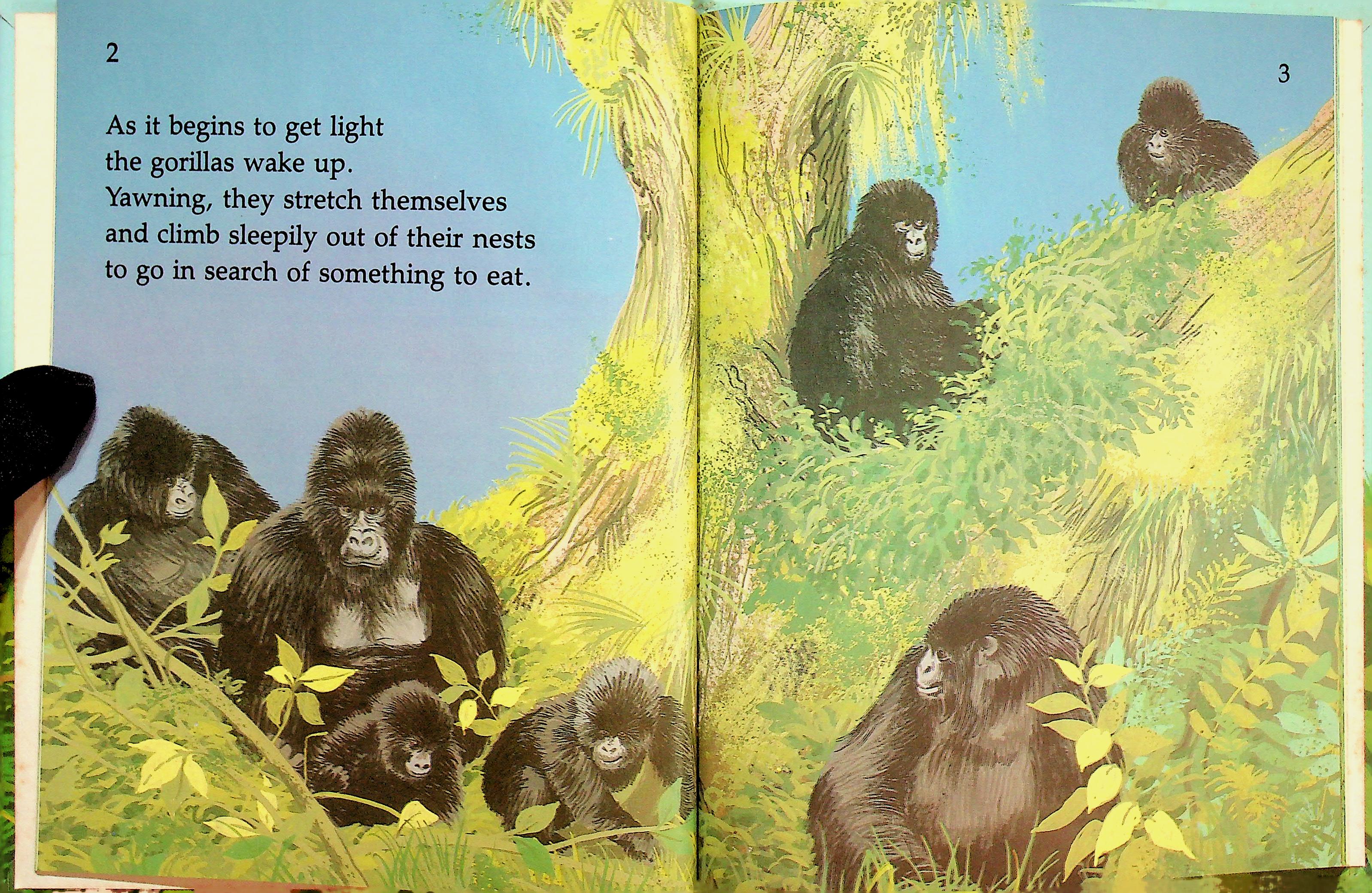 GORILLAS SAVE OUR WILDLIFE BY ALTHEA