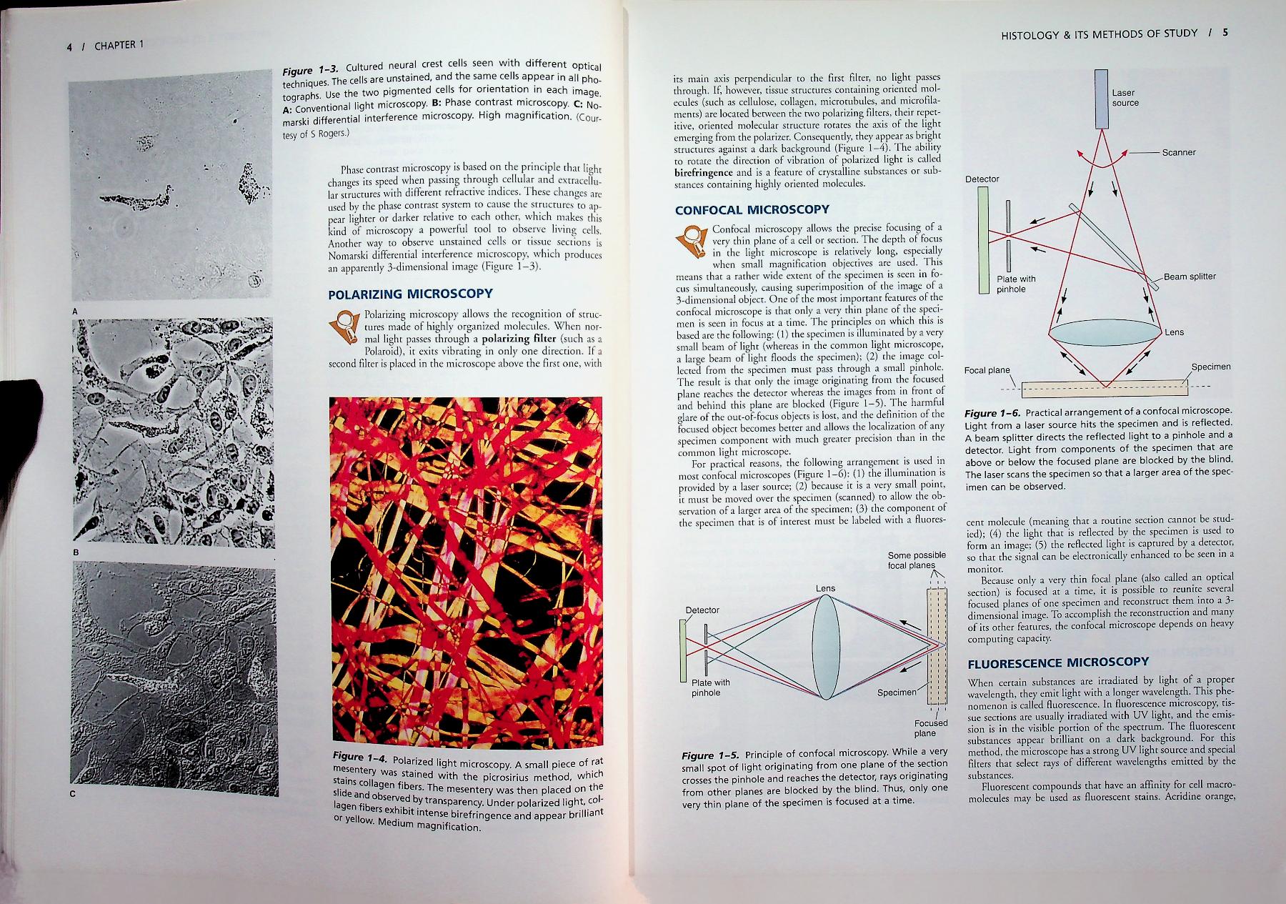basic histology TEXT & ATLAS