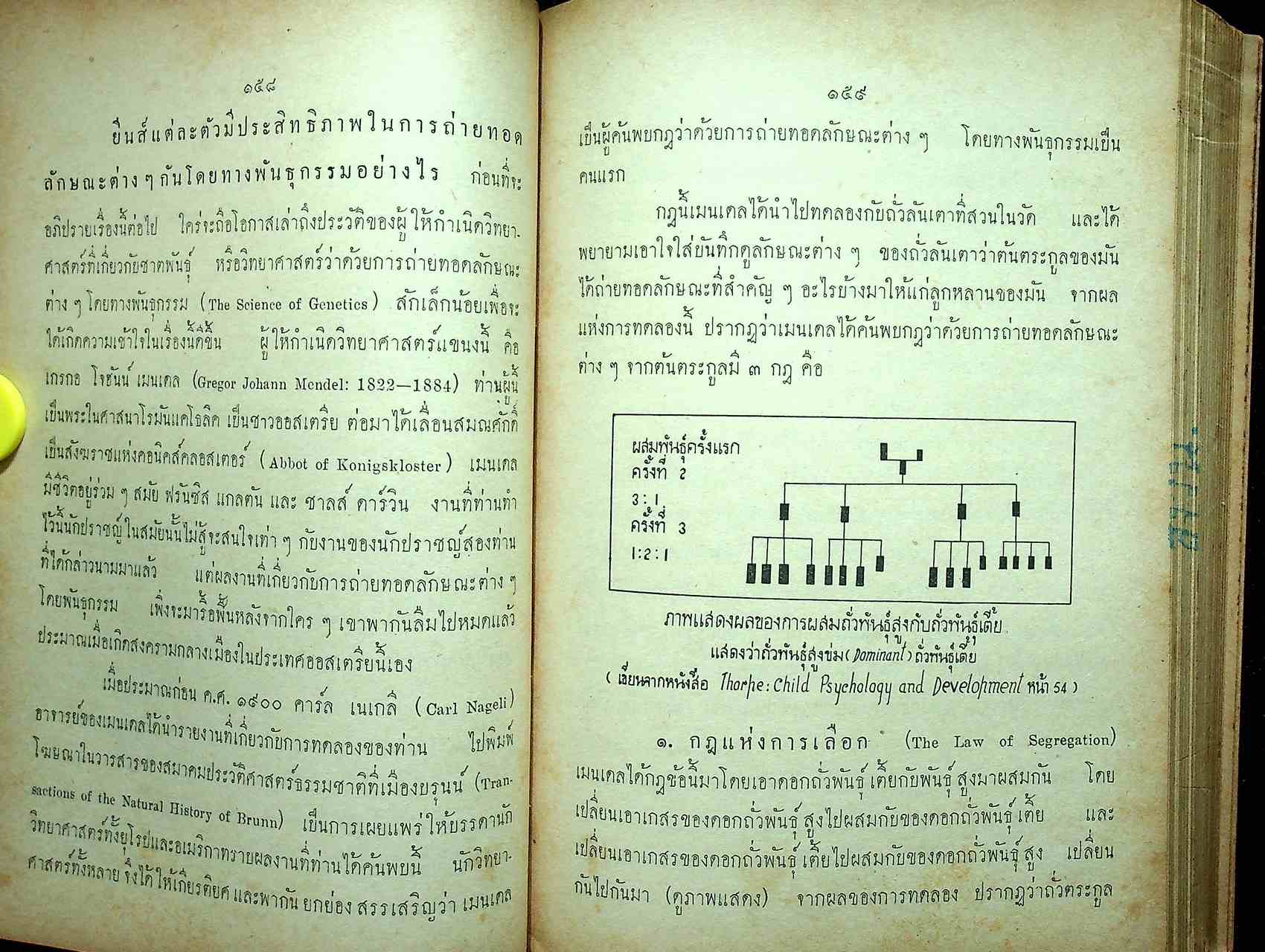 วิชาจิตวิทยาและพัฒนาการของเด็ก