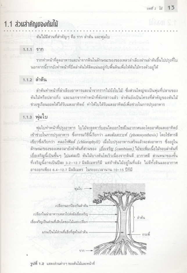 วัสดุก่อสร้าง