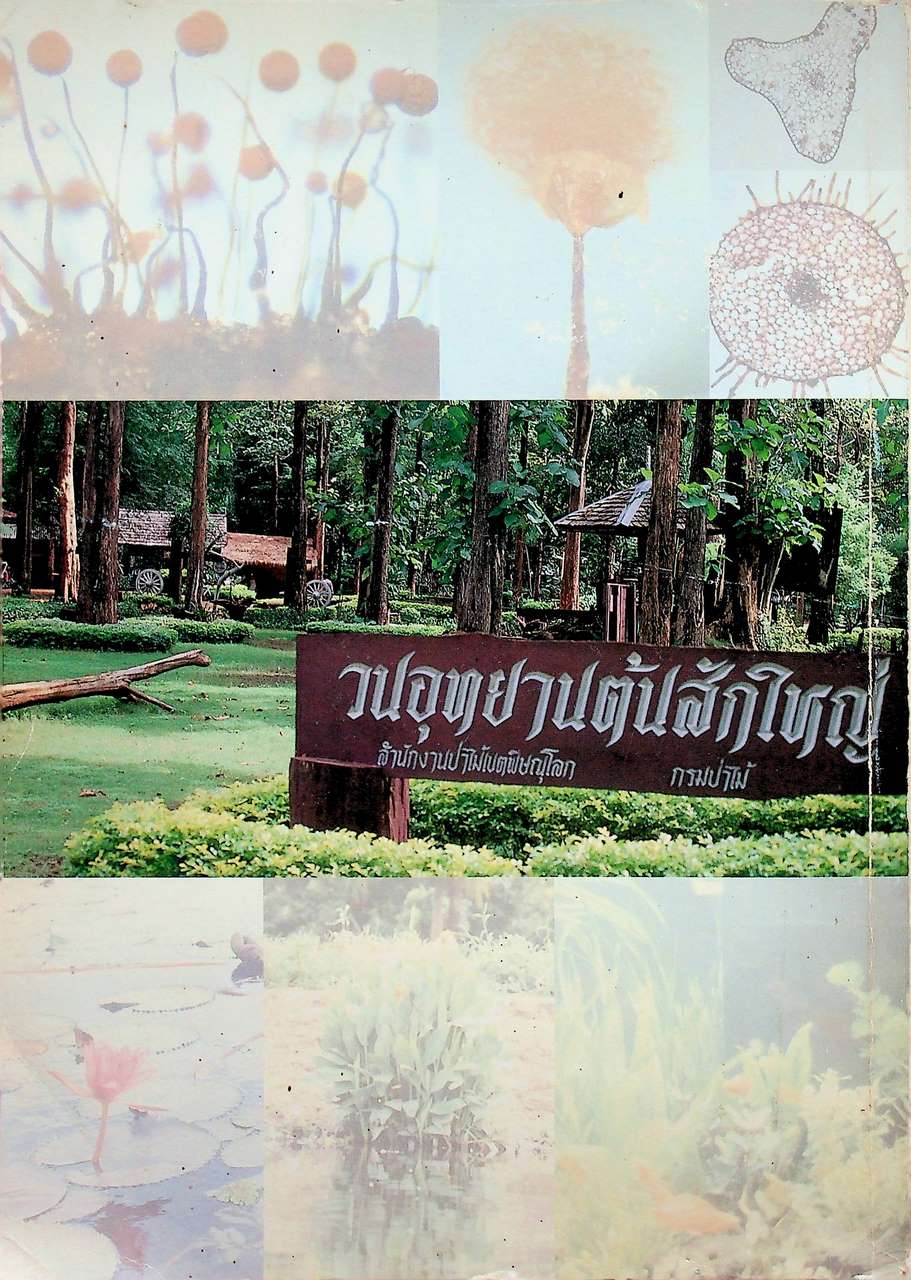 แนวทางในการศึกษาความหลากหลายทางชีวภาพ