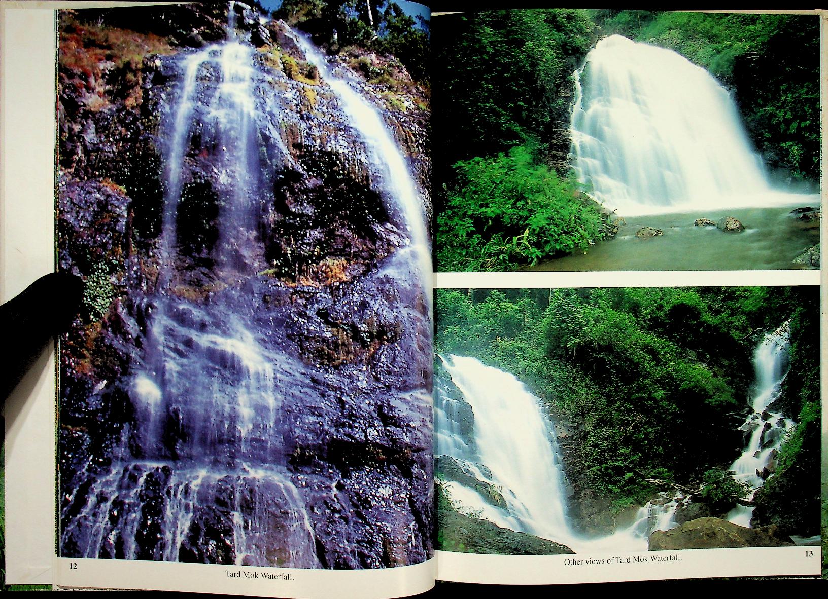 Phetchaboon A Picture Book to Remember Her by