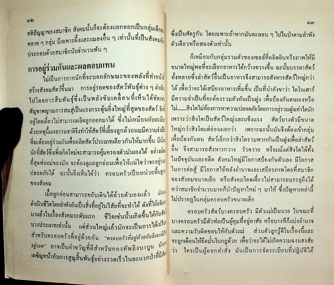 หนังสืออ่านเพิ่มเติมวิชาสังคมศึกษา เรื่อง มนุษยสังคม