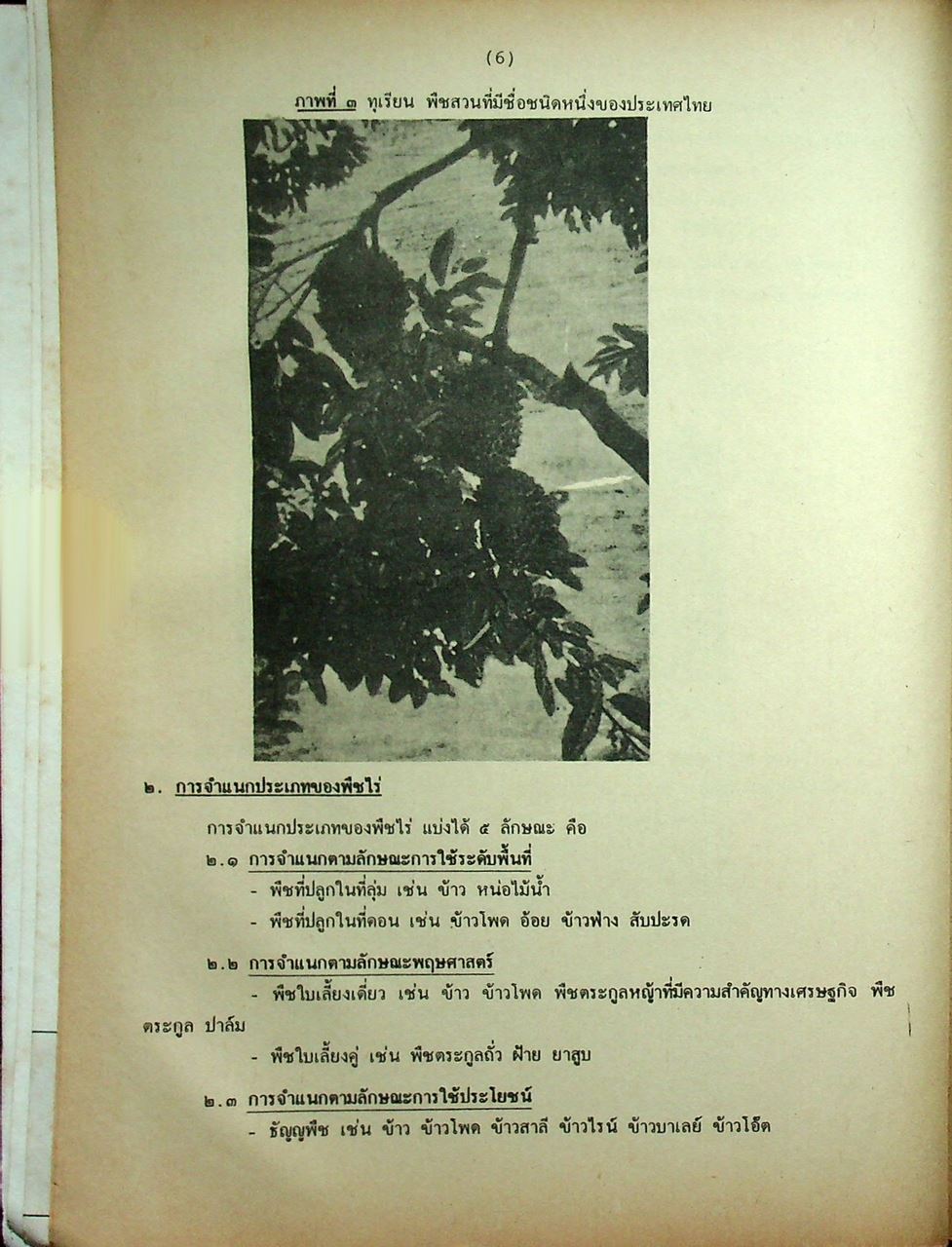 เกษตรกรรมเบื้องต้น ฉบับรวม ม.4-5-6