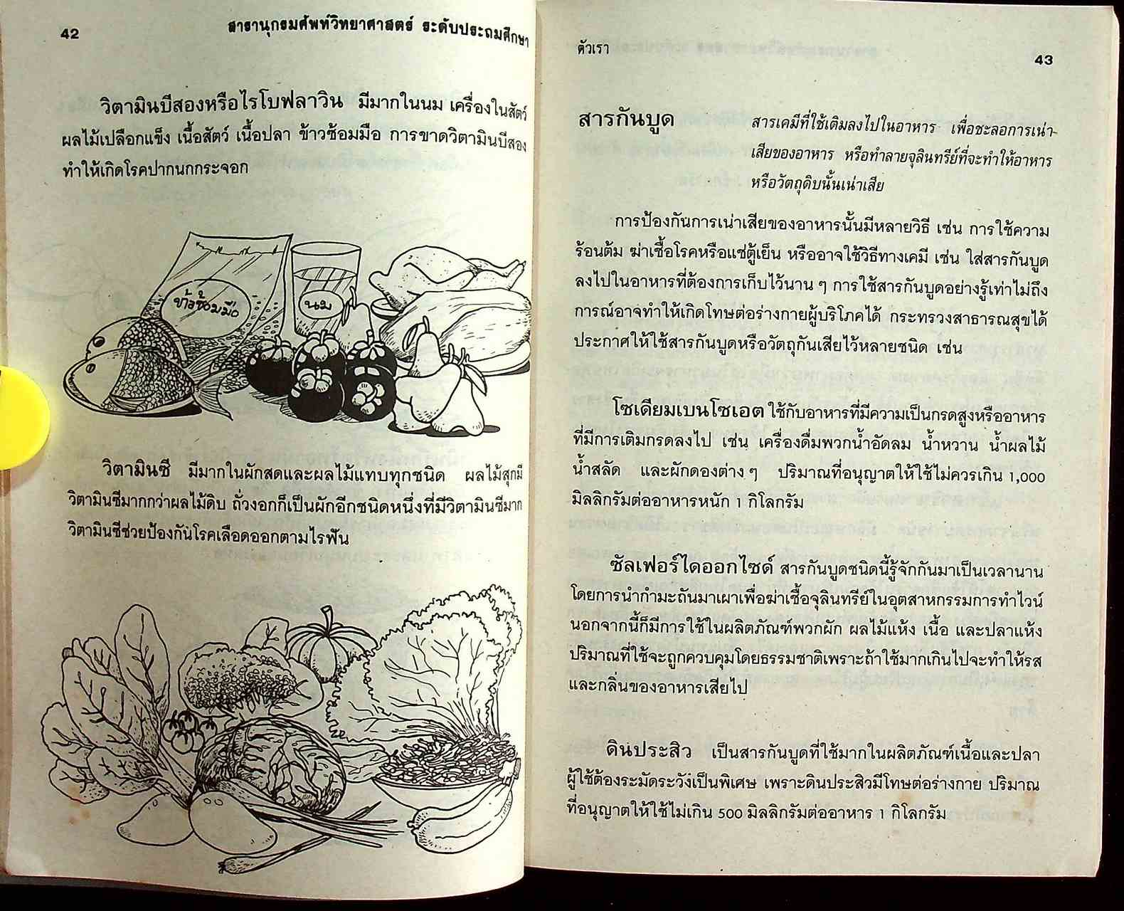 สารานุกรมศัพท์วิทยาศาสตร์ ระดับประถมศึกษา