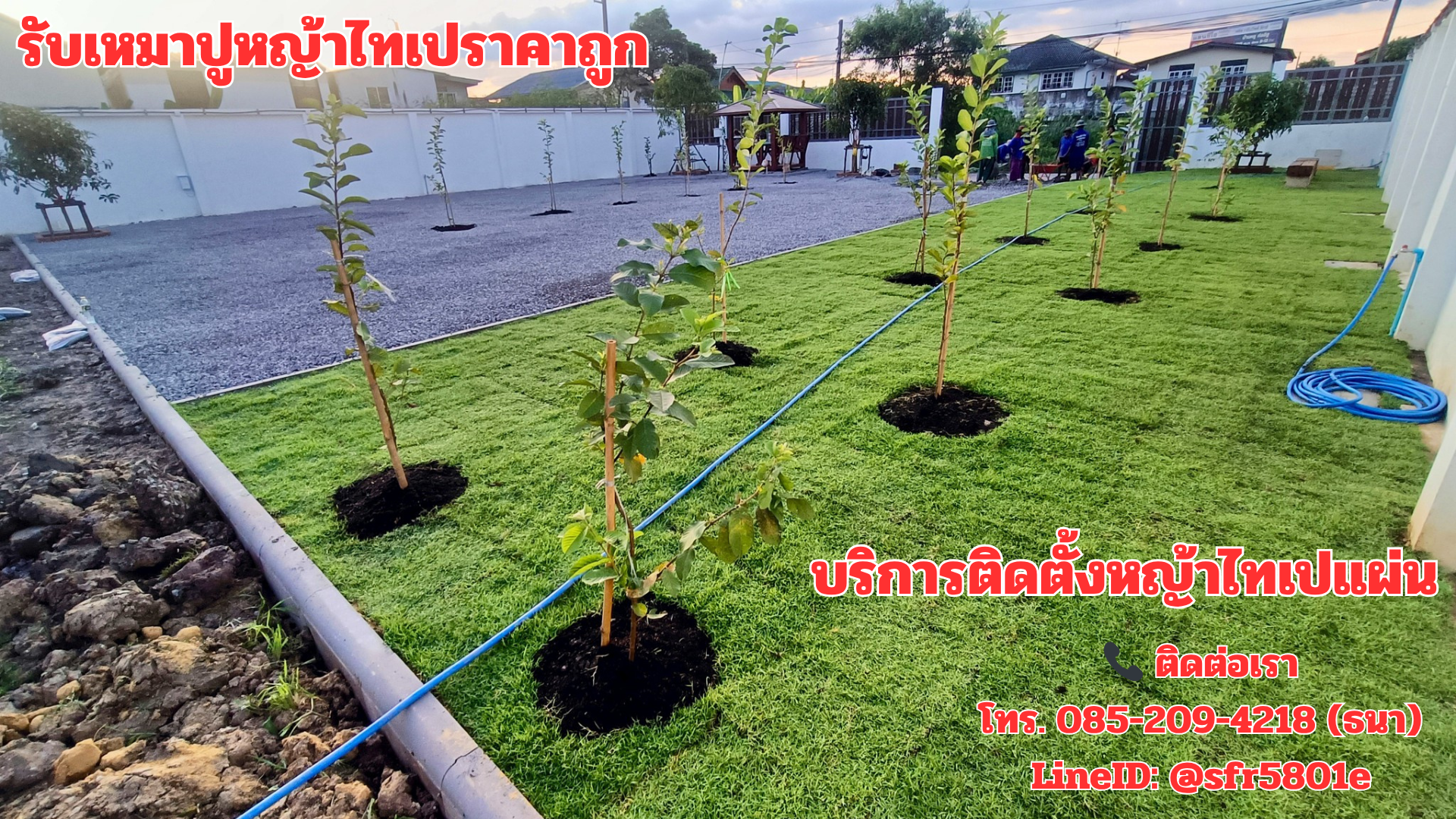 บริการปลูกหญ้าไทเป