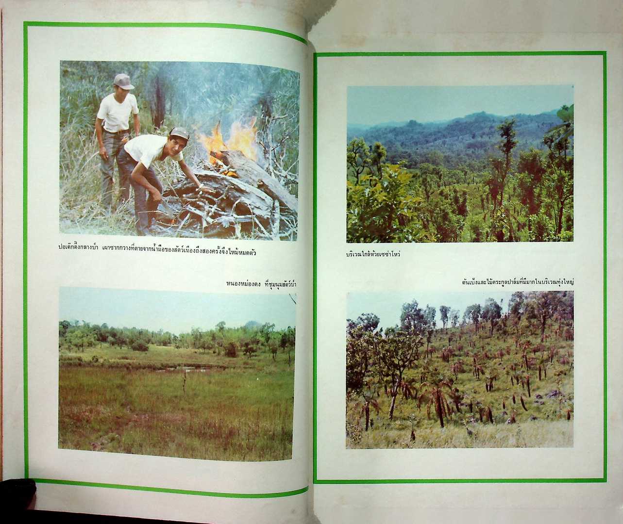 บันทึกลับจากทุ่ง ใหญ่