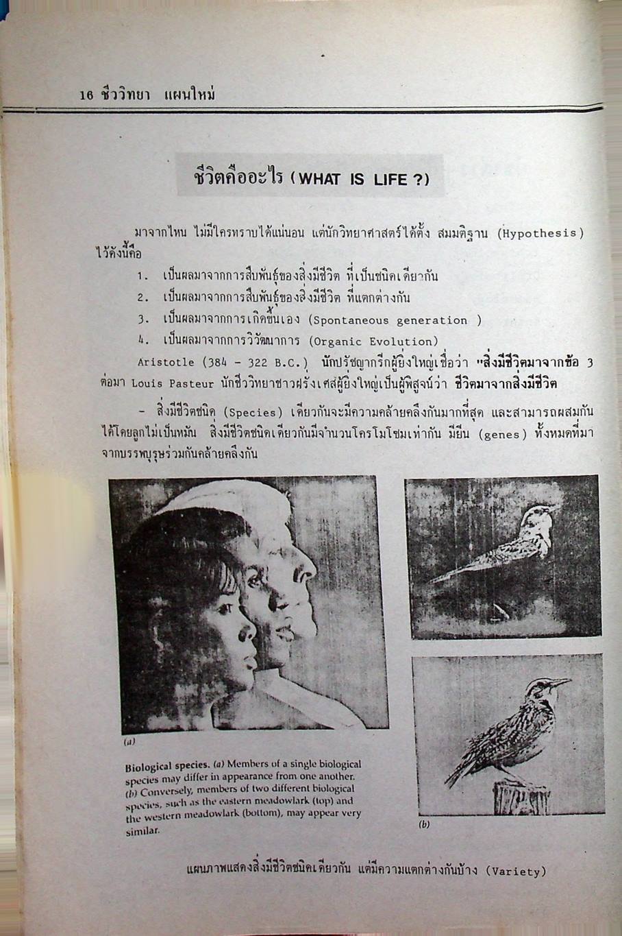 ชีววิทยา ม.4 เล่ม 1 ว 441