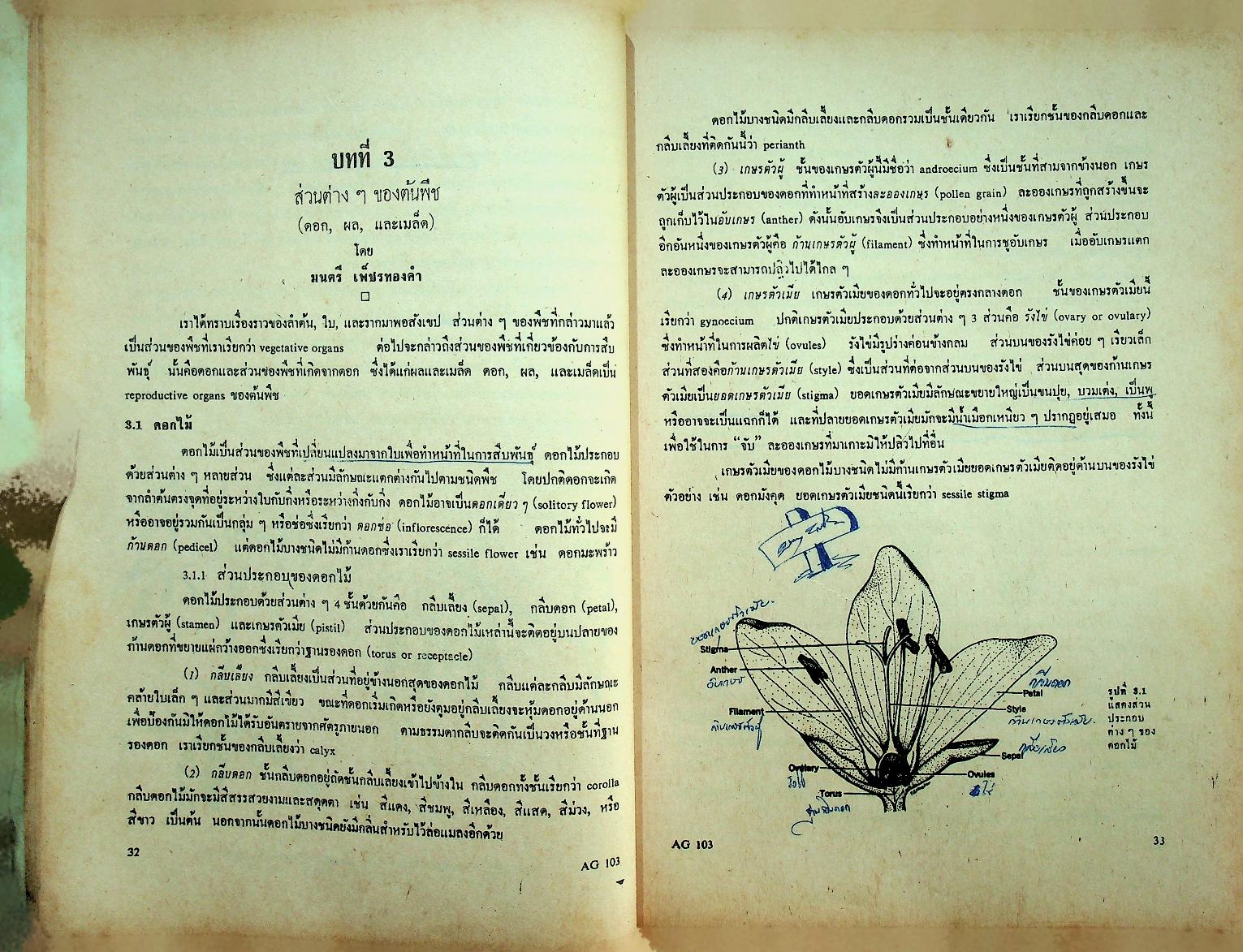 การเกษตรเบื้องต้น