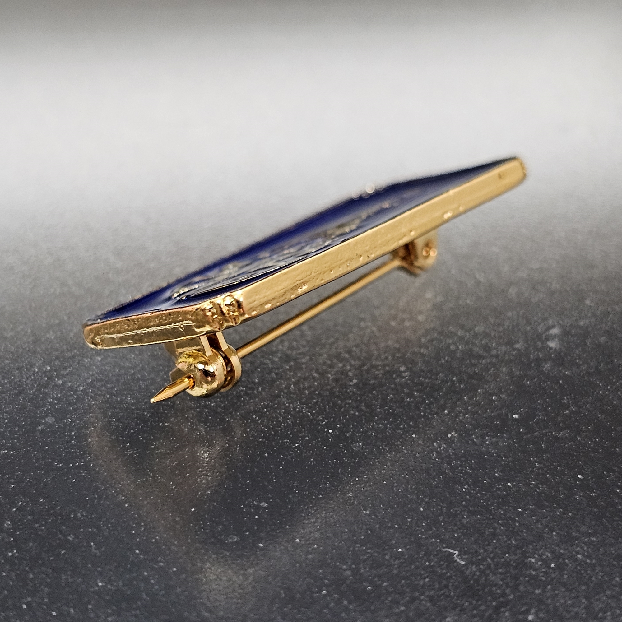 เข็มกลัด เข็มพระราชทาน พระราชพิธีพระราชทานเพลิงพระศพ เจ้าฟ้าเพชรรัตนฯ ปี2555 พร้อมกล่อง