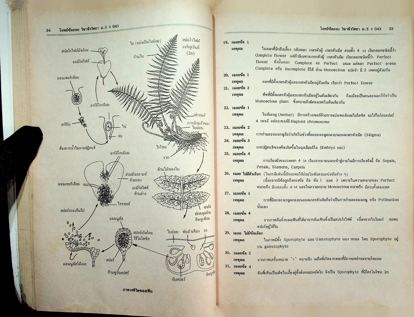 วารสารไฮเอ็ด ม.ปลาย ฉบับพิเศษ 2 โจทย์ข้อสอบ หลักวิชา ม.ปลาย เล่ม 2