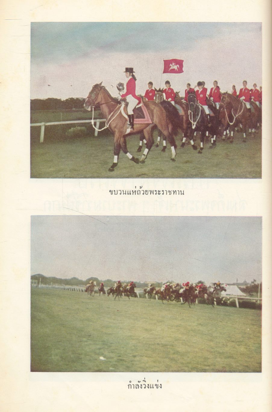 วันแข่งม้า ชิงถ้วยพระราชทาน สมเด็จพระนางเจ้าฯ พระบรมราชินีนาถ ๑๒ สิงหาคม ๒๕๑๗