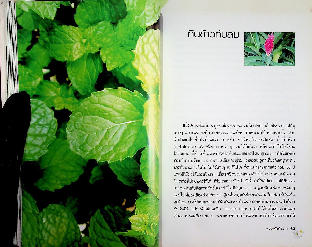 สวนหลังบ้าน : พลโท หญิง พูนภิรมย์ ลิปตพัลลภ