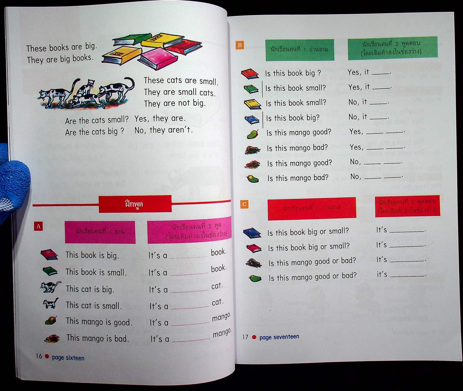 NEW STANDARD ENGLISH 5