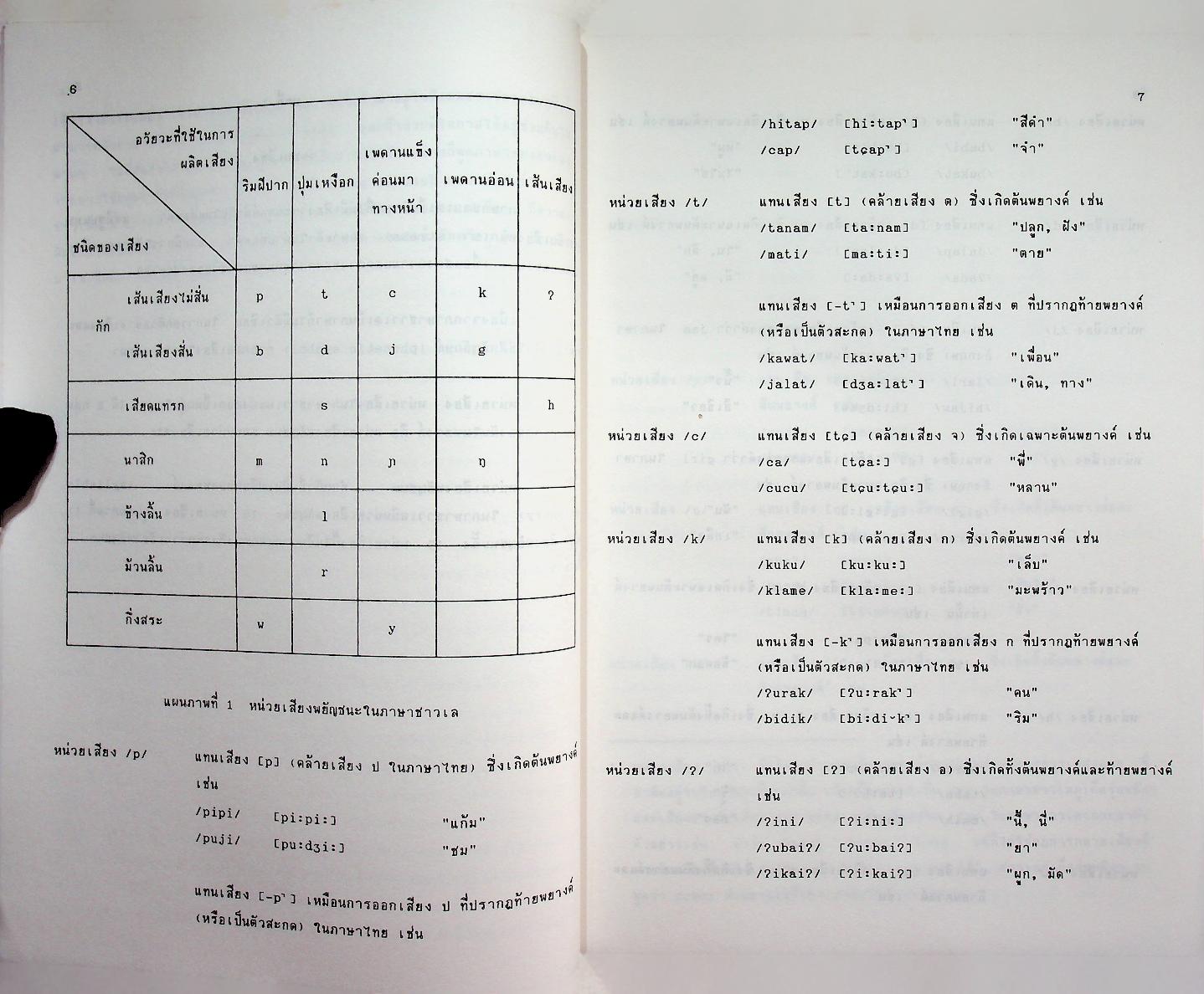 ภาษาชาวเล