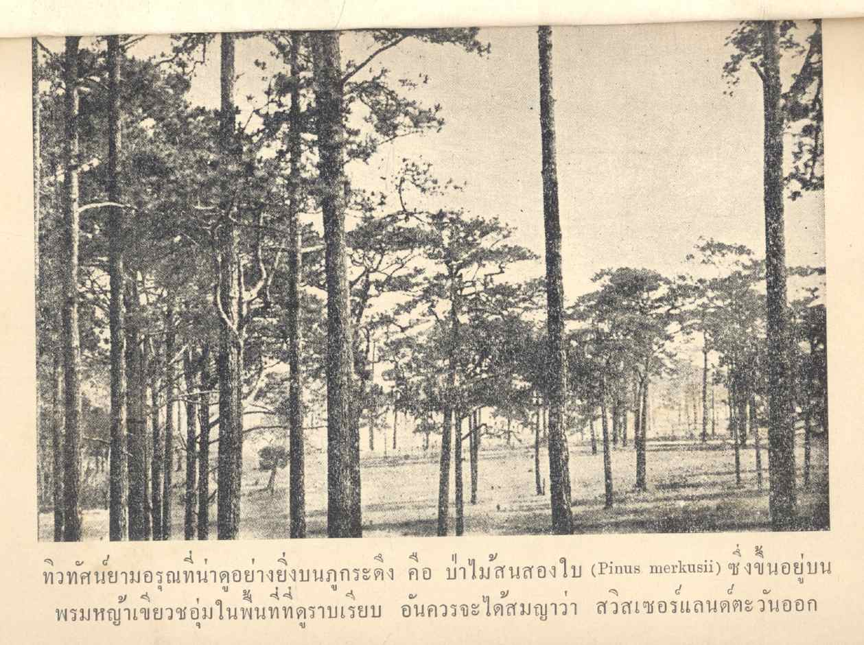 ภูกระดึง