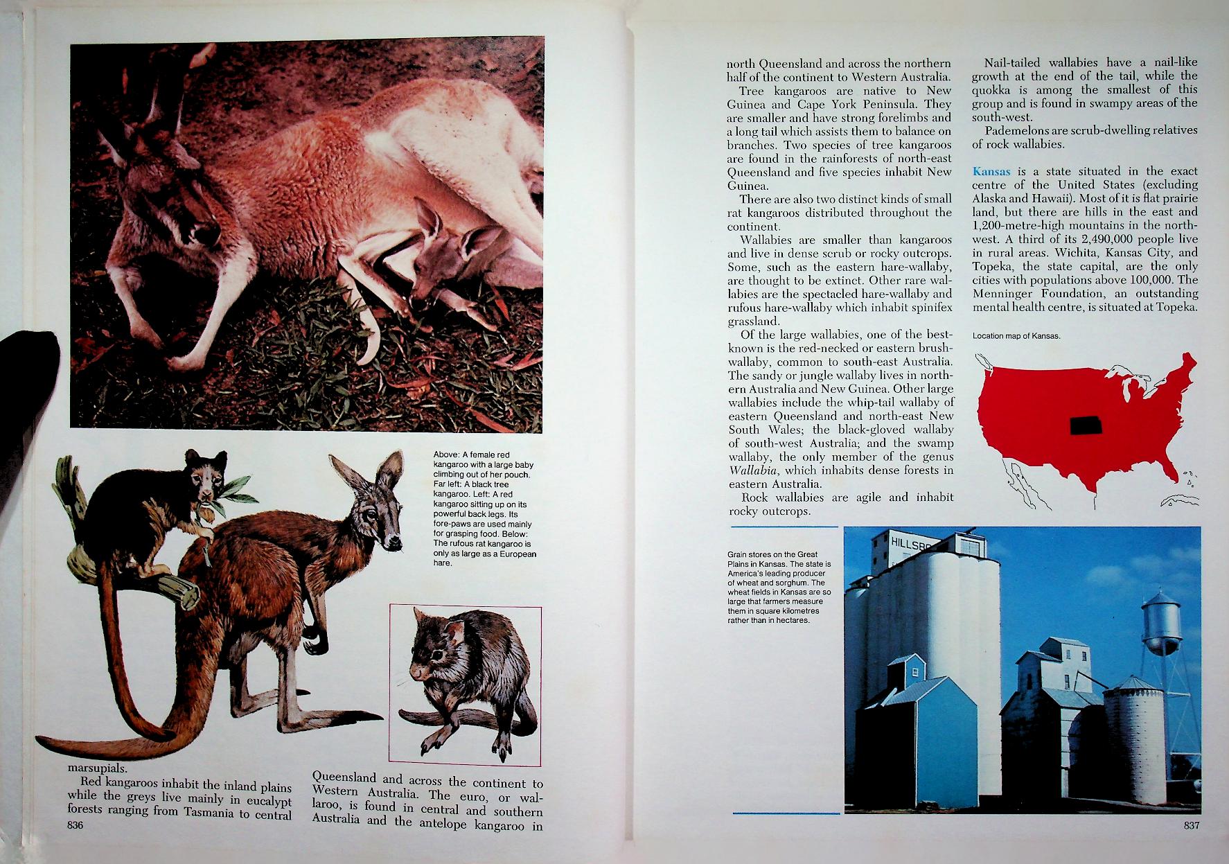 The 21st Century JUNIOR WORLD Encyclopedia 6