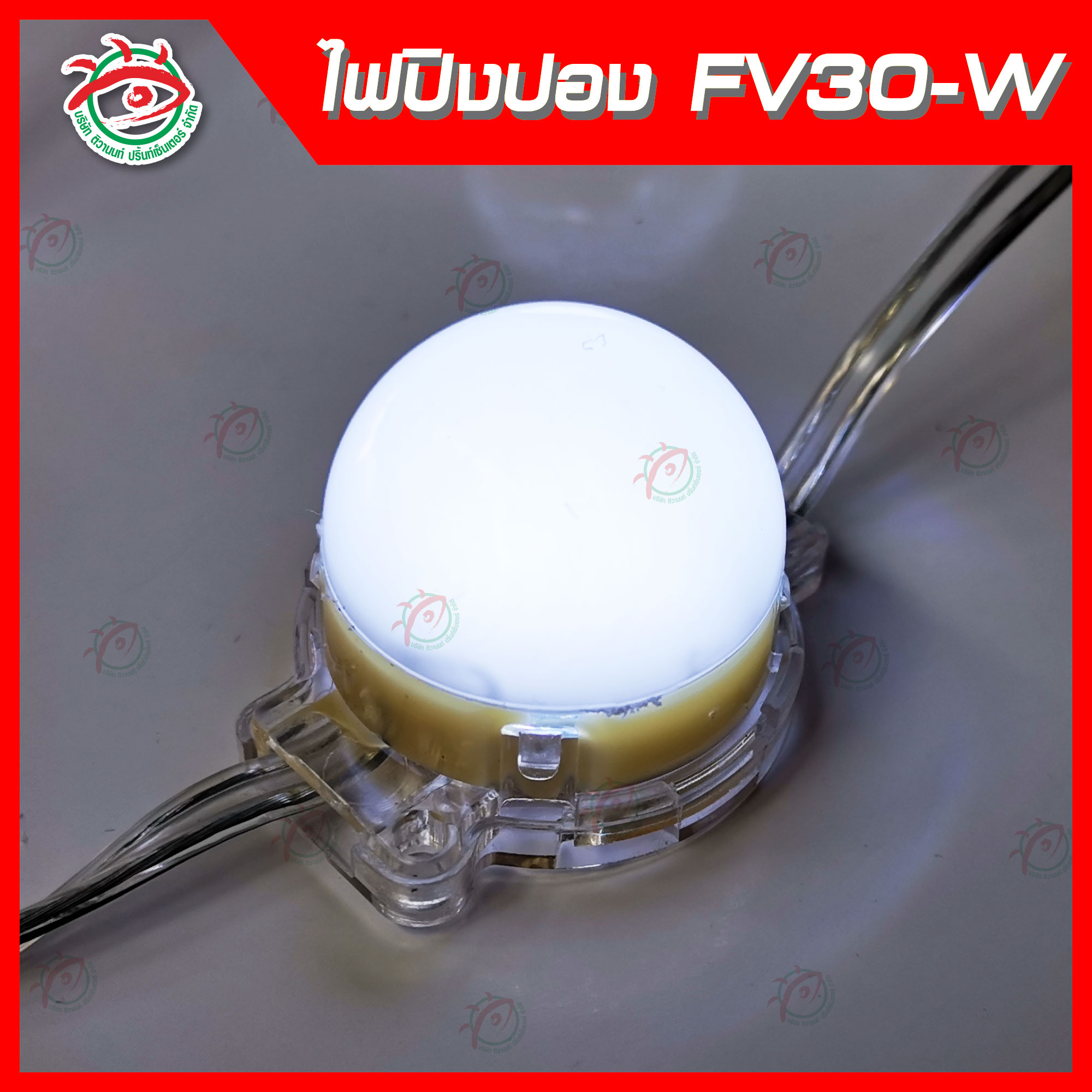 ไฟLED หัวปิงปอง3cm F30-24V-1W-W สีขาว