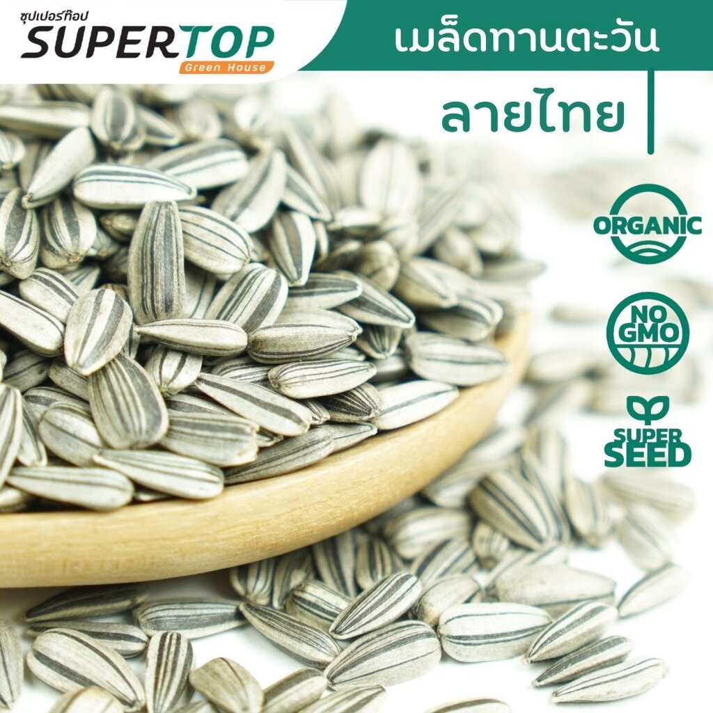 เมล็ดเพาะต้นอ่อน ทานตะวันลายไทย (Thai Sunflower Microgreen) SUPERTOP | ขนาด 1 KG.