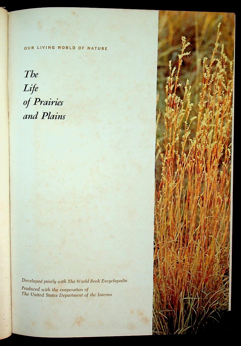 The Life of Prairies and Plains
