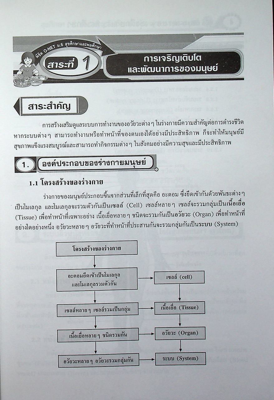 สรุปความรู้รวบยอด ม.4-5-6 ฉบับพิชิต O-NET ม.6 สุขศึกษา & พลศึกษา