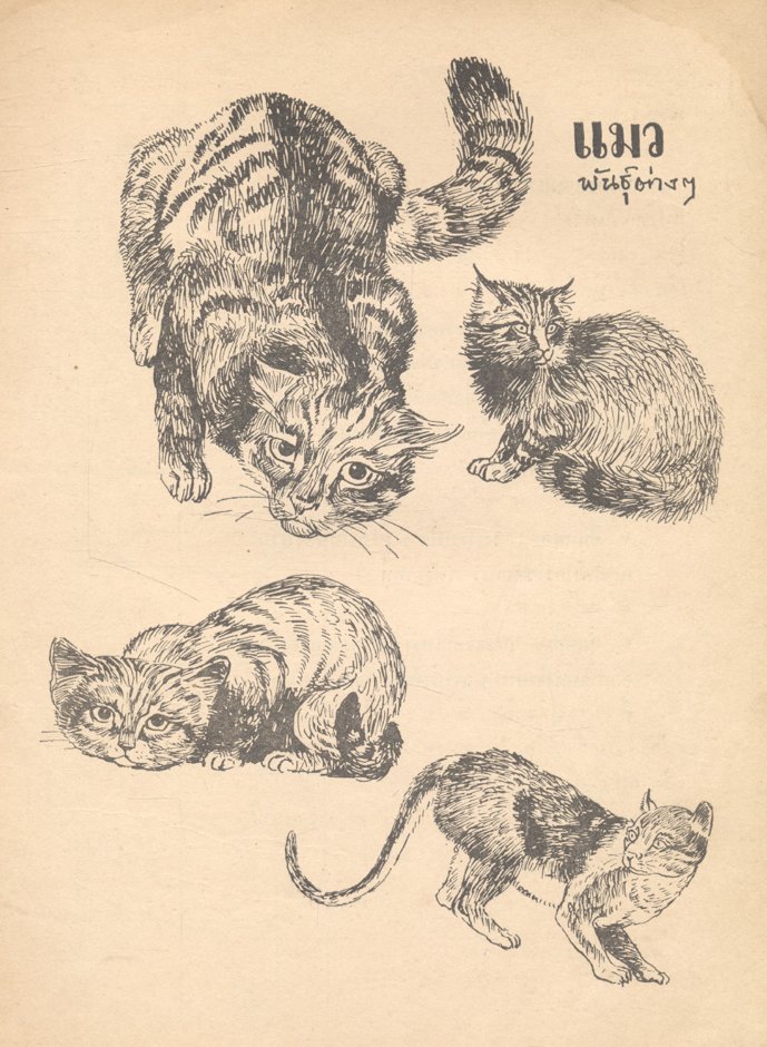 วิธีเขียนภาพสัตว์ (เสน่ห์ ธนารัตน์สฤษดิ์ รวมรวม)