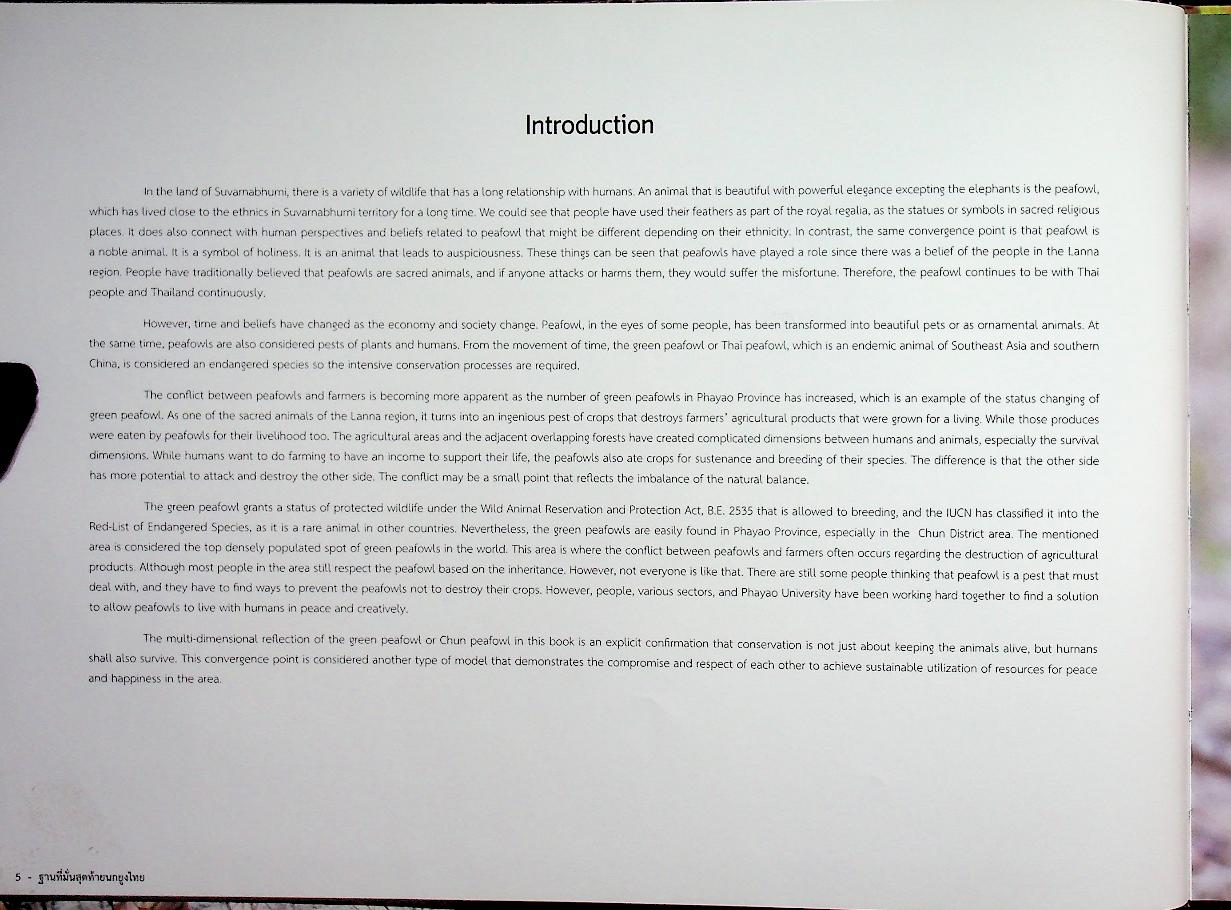 ฐานที่มั่นสุดท้ายนกยูงไทย