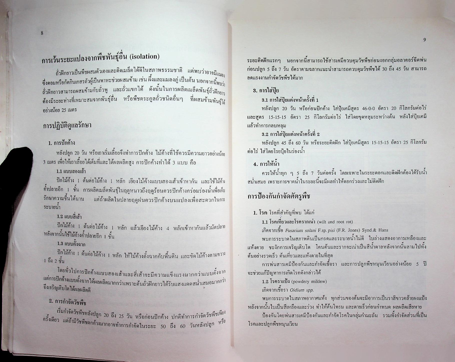การผลิตเมล็ดพันธุ์ผัก