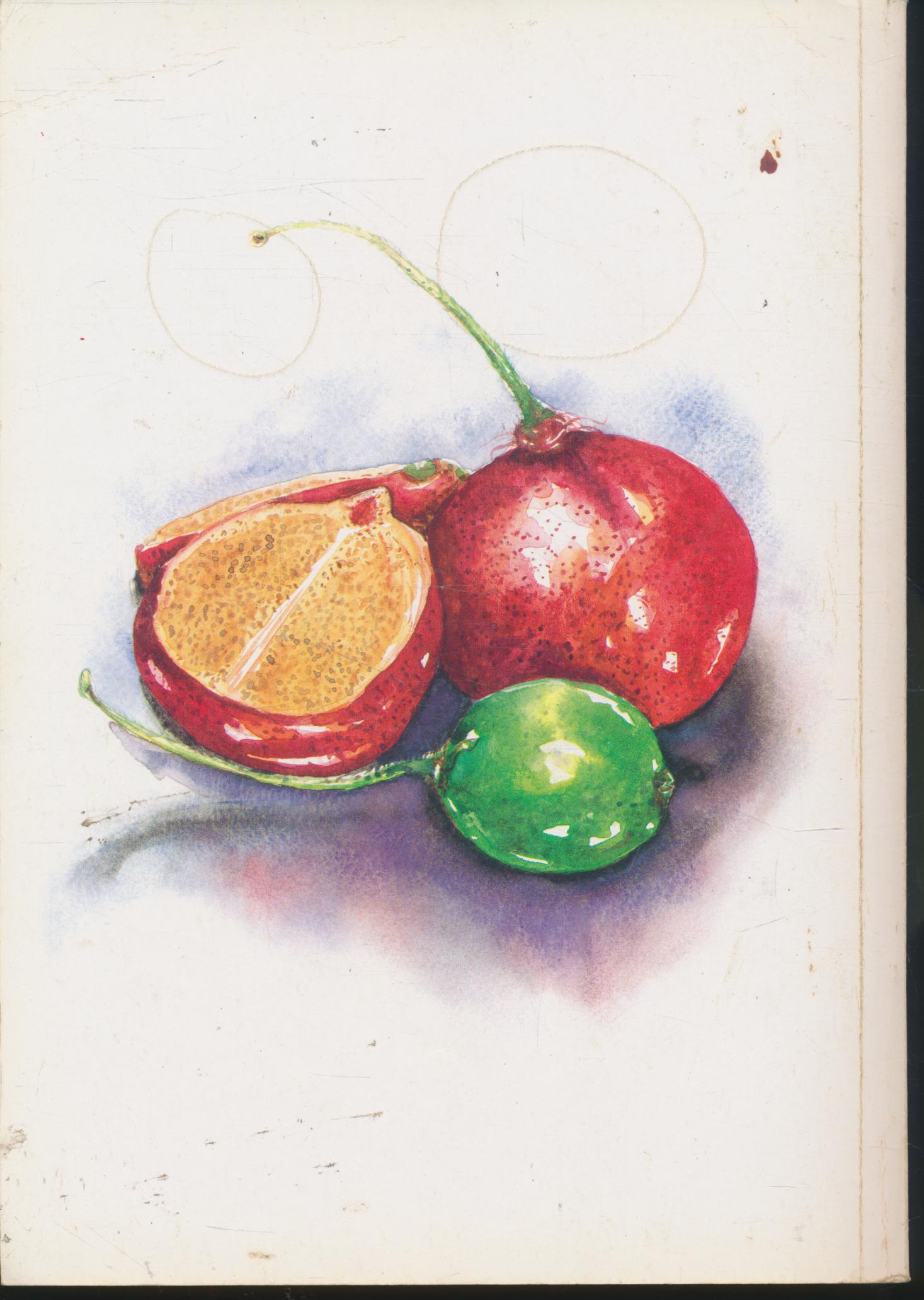 คู่มือการจัดการเรียนการสอนแบบบูรณาการ ตะขบ ต้นไม้ใจดี