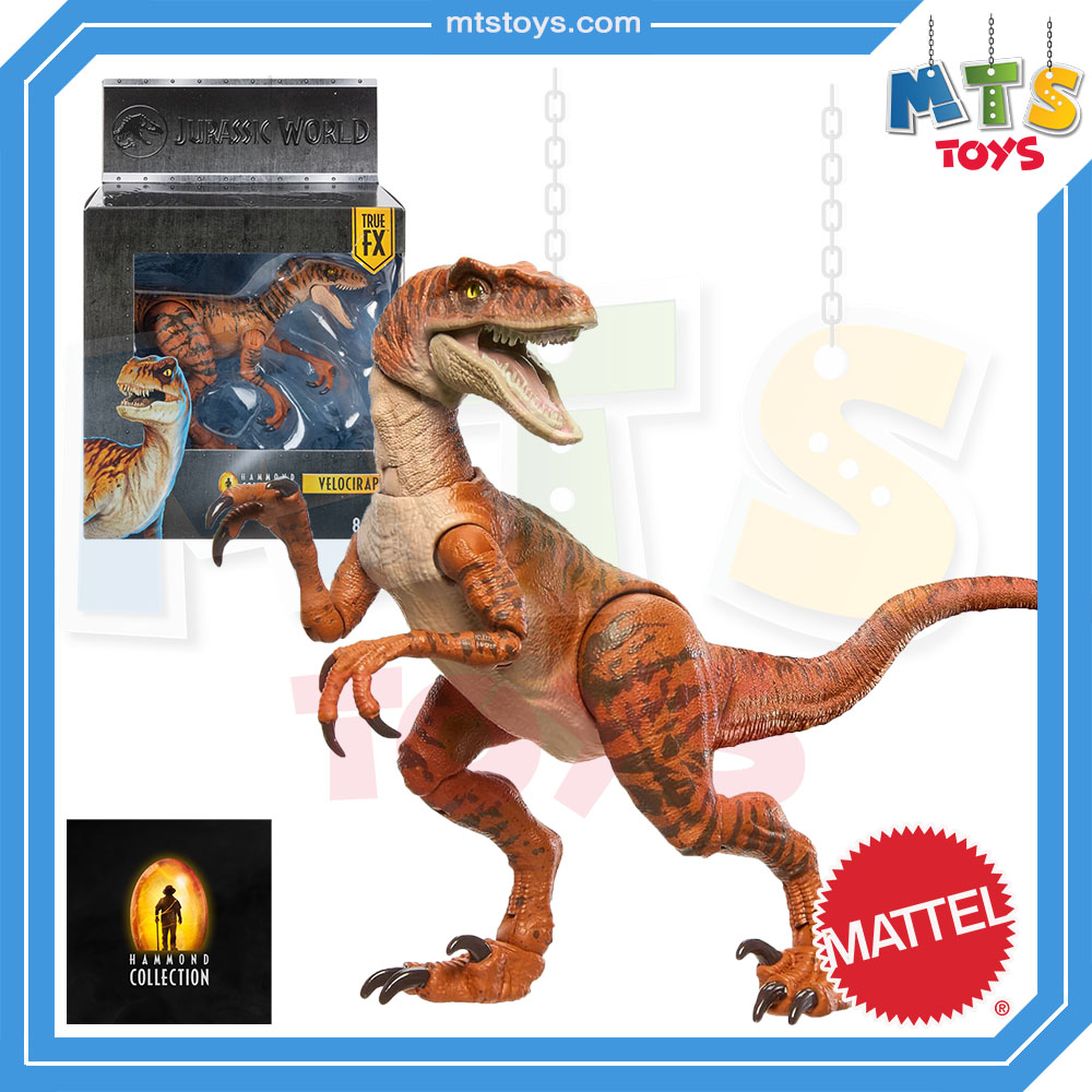**MTS Toys**Mattel Jurassic World Hammond Collection : JDJ09 Velociraptor [True FX] [ความยาวจากหัวถึงหาง 20 ซ.ม.]