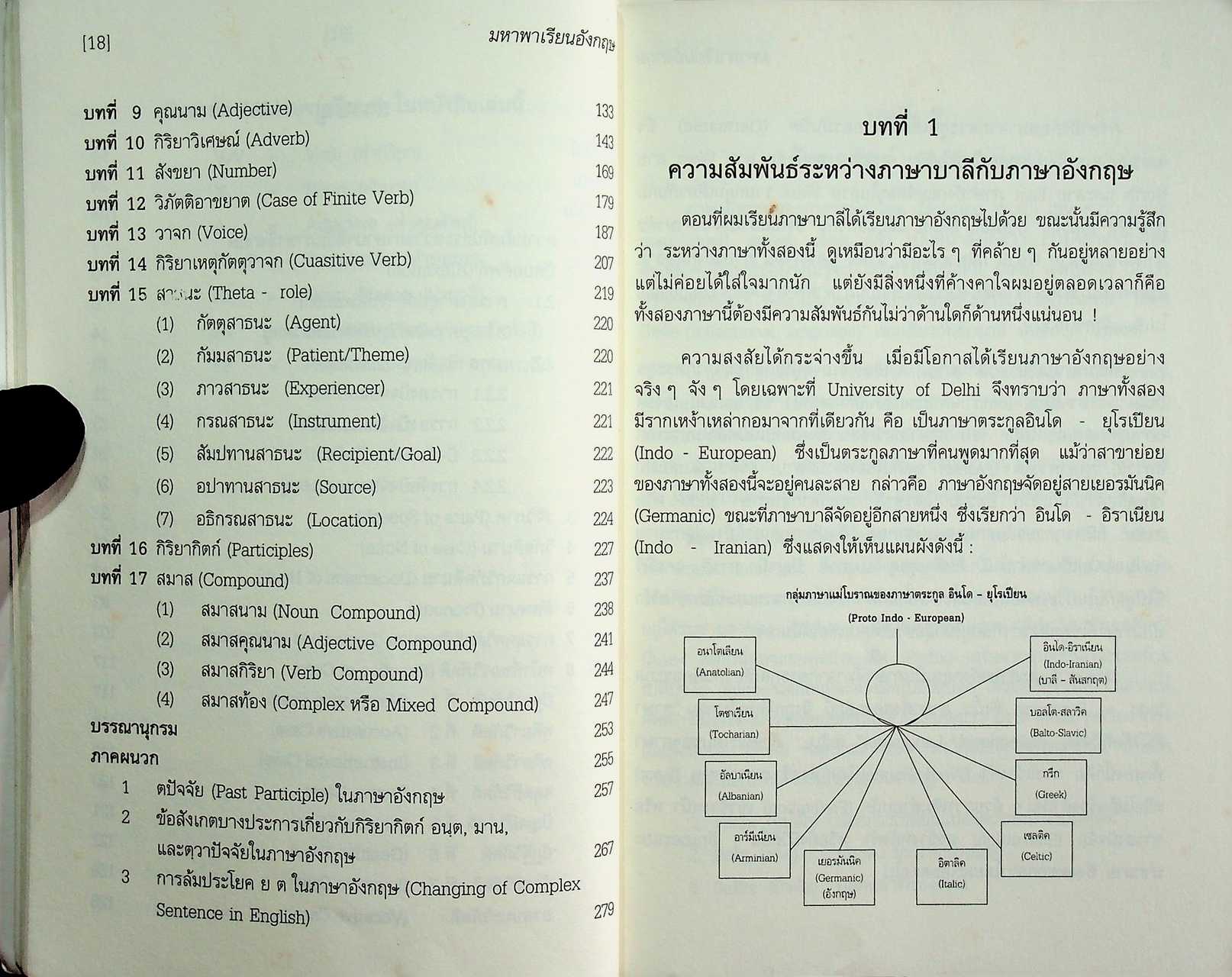 มหาพาเรียนอังกฤษ