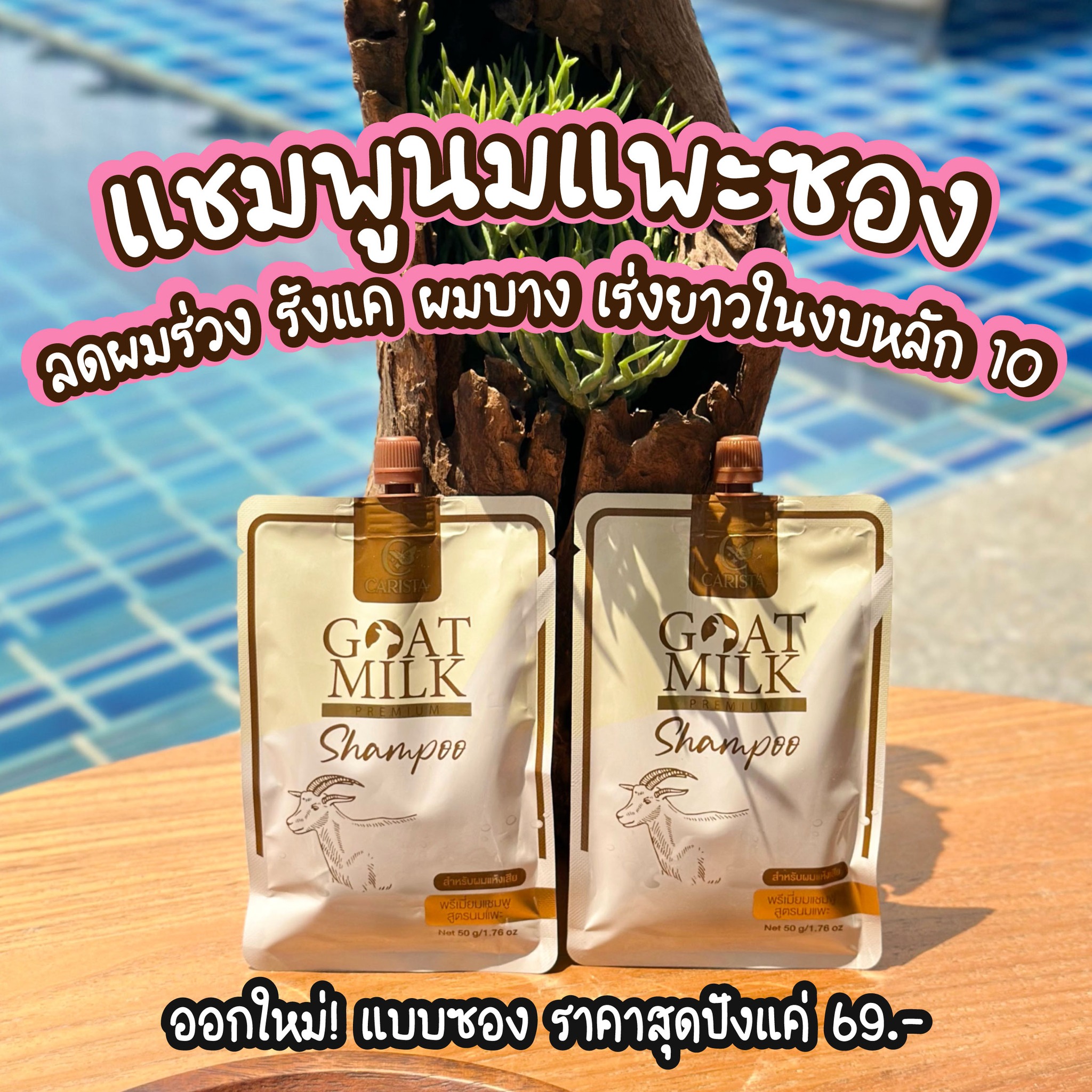 แชมพูนมแพะ แบบซองGOAT MILK Goat Milk Shampoo