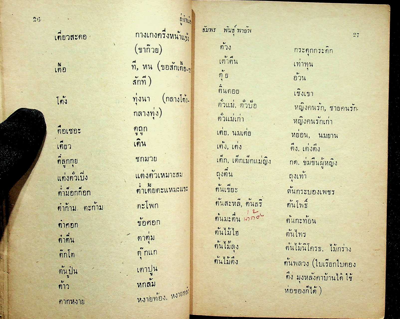 อู้คำเมือง คู่มือหัดพูดภาษาไทยเหนือ