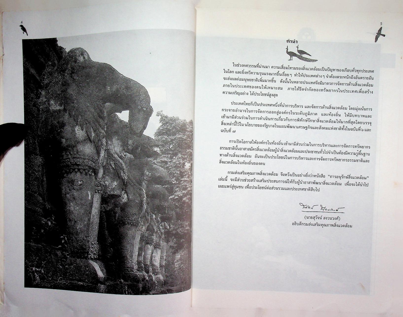 การอนุรักษ์สิ่งแวดล้อม