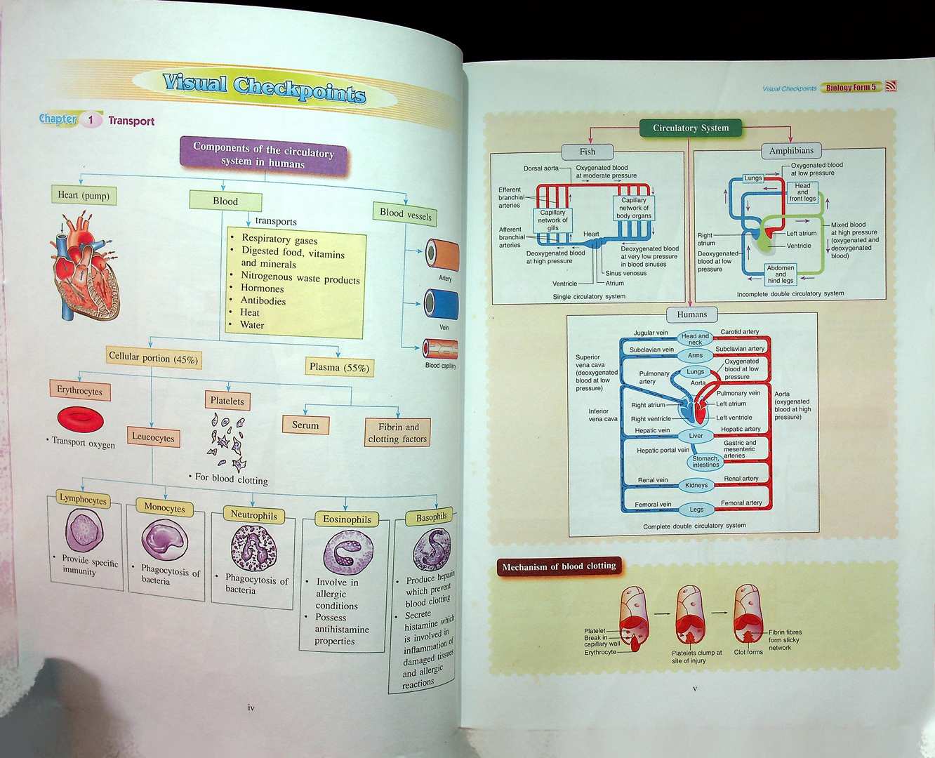 FOCUS EXCEL BIOLOGY Form5