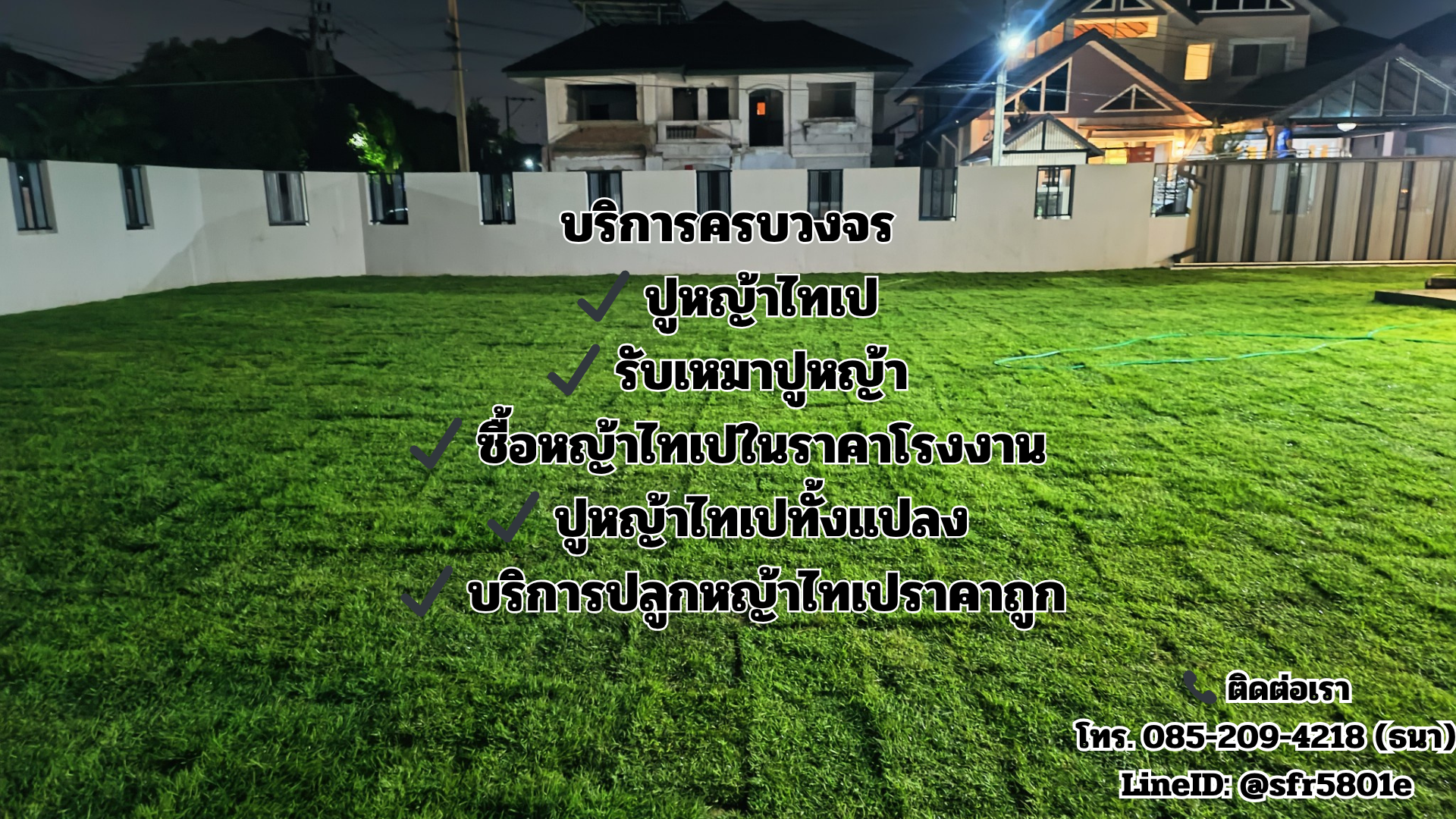 หญ้าไทเป