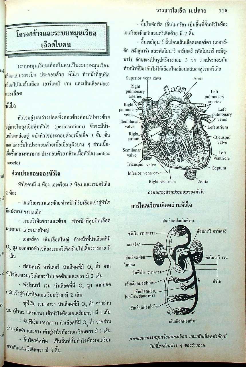 วารสารไฮเอ็ด ม.ปลาย (วิทย์) เล่มที่ 3 ฉบับรวมเล่ม ปีที่ 2 ฉบับที่ 8-10 (ธ.ค.-ก.พ.) 2540