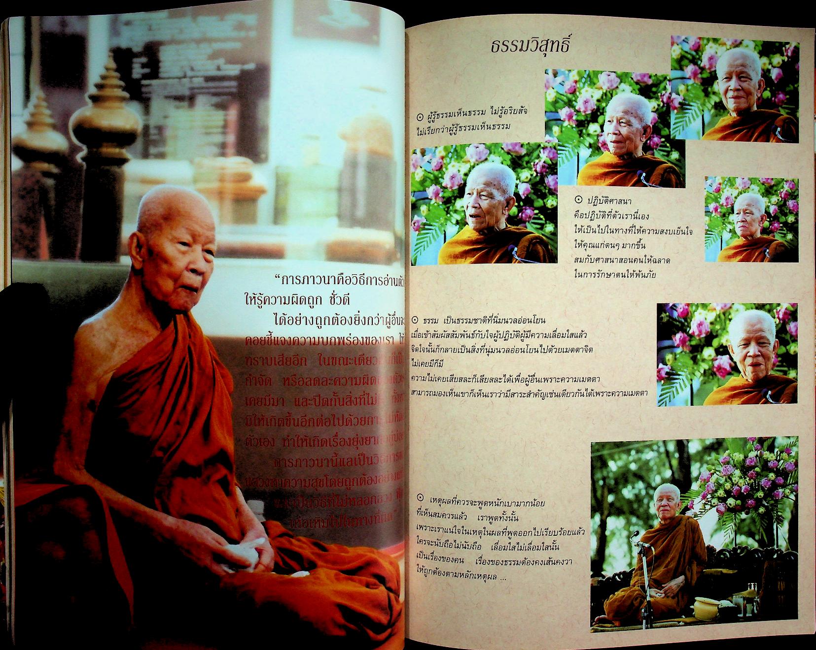 หนังสือในงานพระราชทานเพลิงถวายแก่สรีระสังขาร พระธรรมวิสุทธิมงคล พระมหาบัว ญาณสัมปันโน