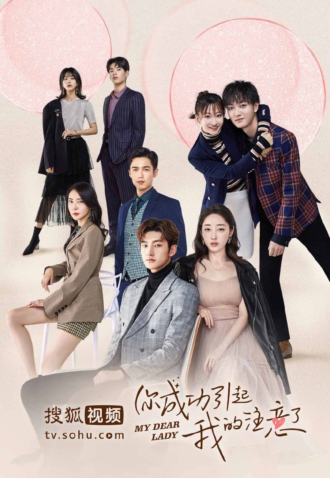 DVD ซีรี่ย์จีน My Dear Lady 2020 (ซับไทย) 4 แผ่นจบ.