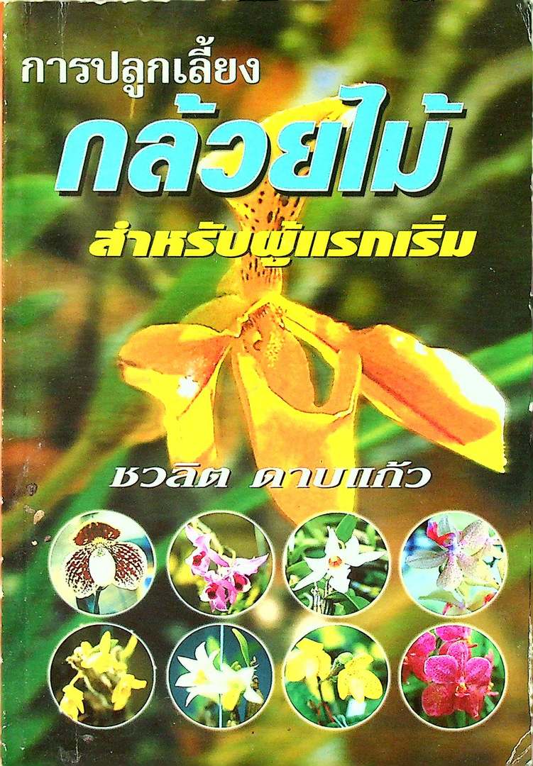 การปลูกเลี้ยง กล้วยไม้ สำหรับผู้แรกเริ่ม