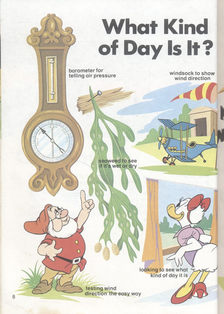 Words that Tell You About Things (Walt Disney)