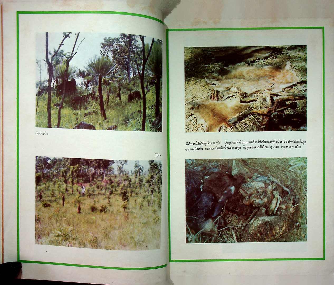 บันทึกลับจากทุ่ง ใหญ่