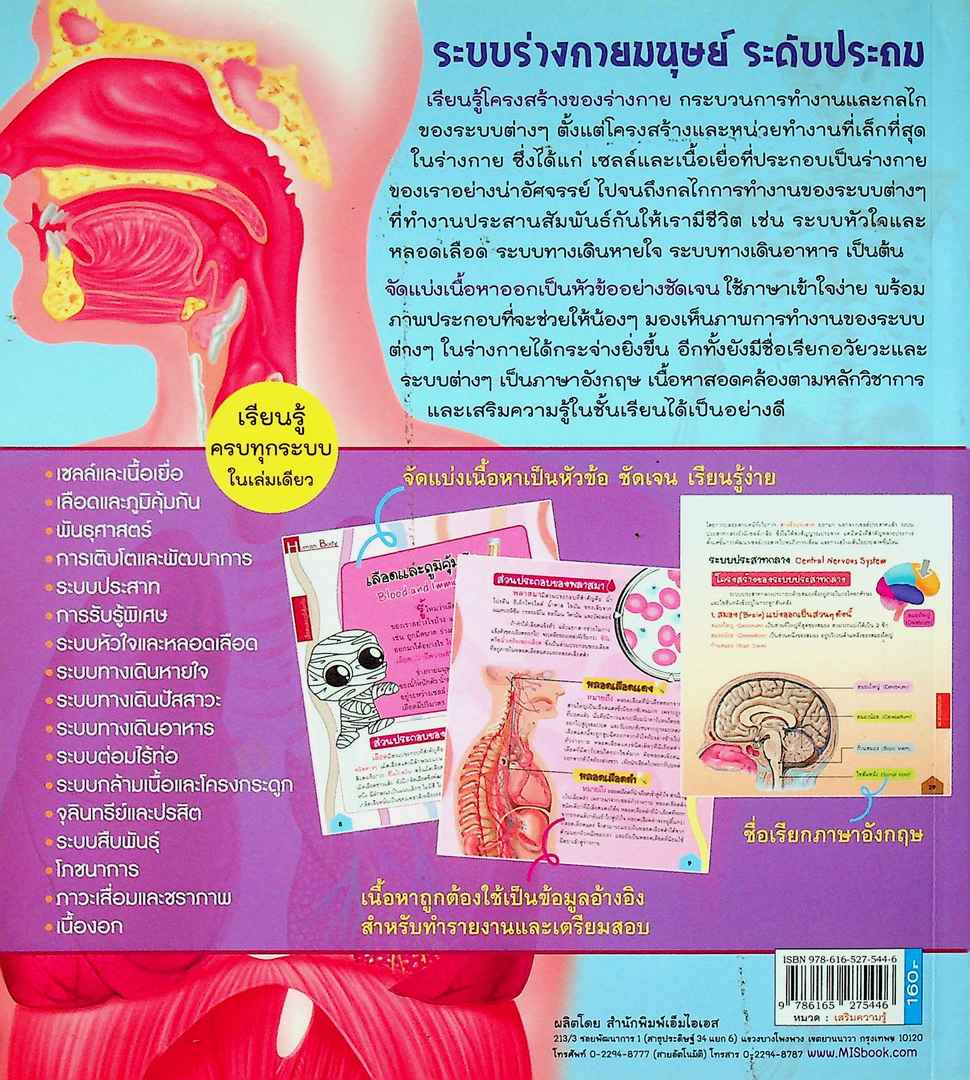 ระบบร่างกายของมนุษย์ ระดับประถม เสริมความรู้ในชั้นเรียน