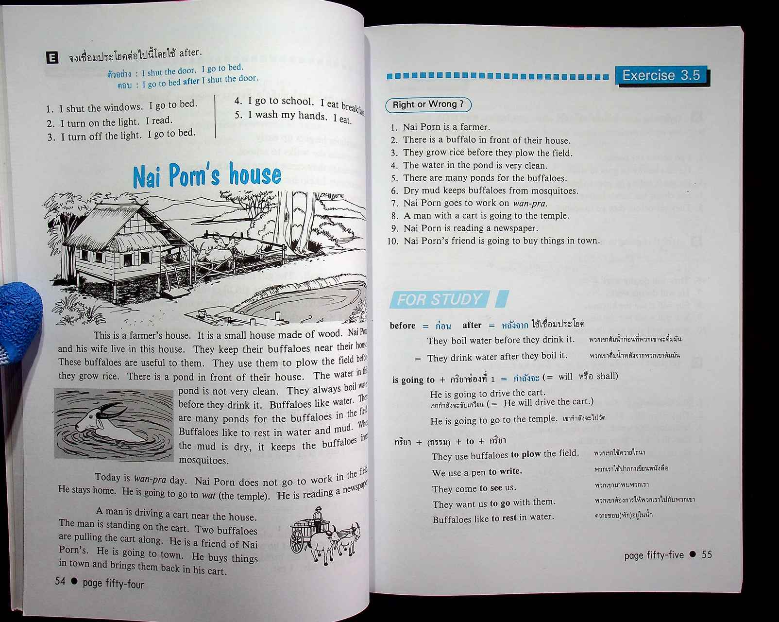 NEW STANDARD ENGLISH 6