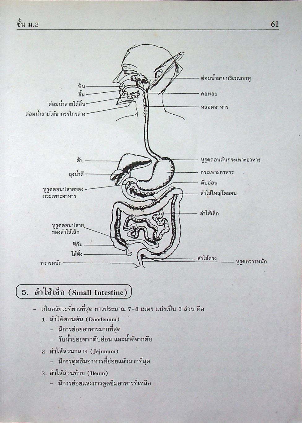 คู่มือ-เตรียมสอบ วิทยาศาสตร์ ม.2 ช่วงชั้นที่ 3 (ม.1-ม.3)
