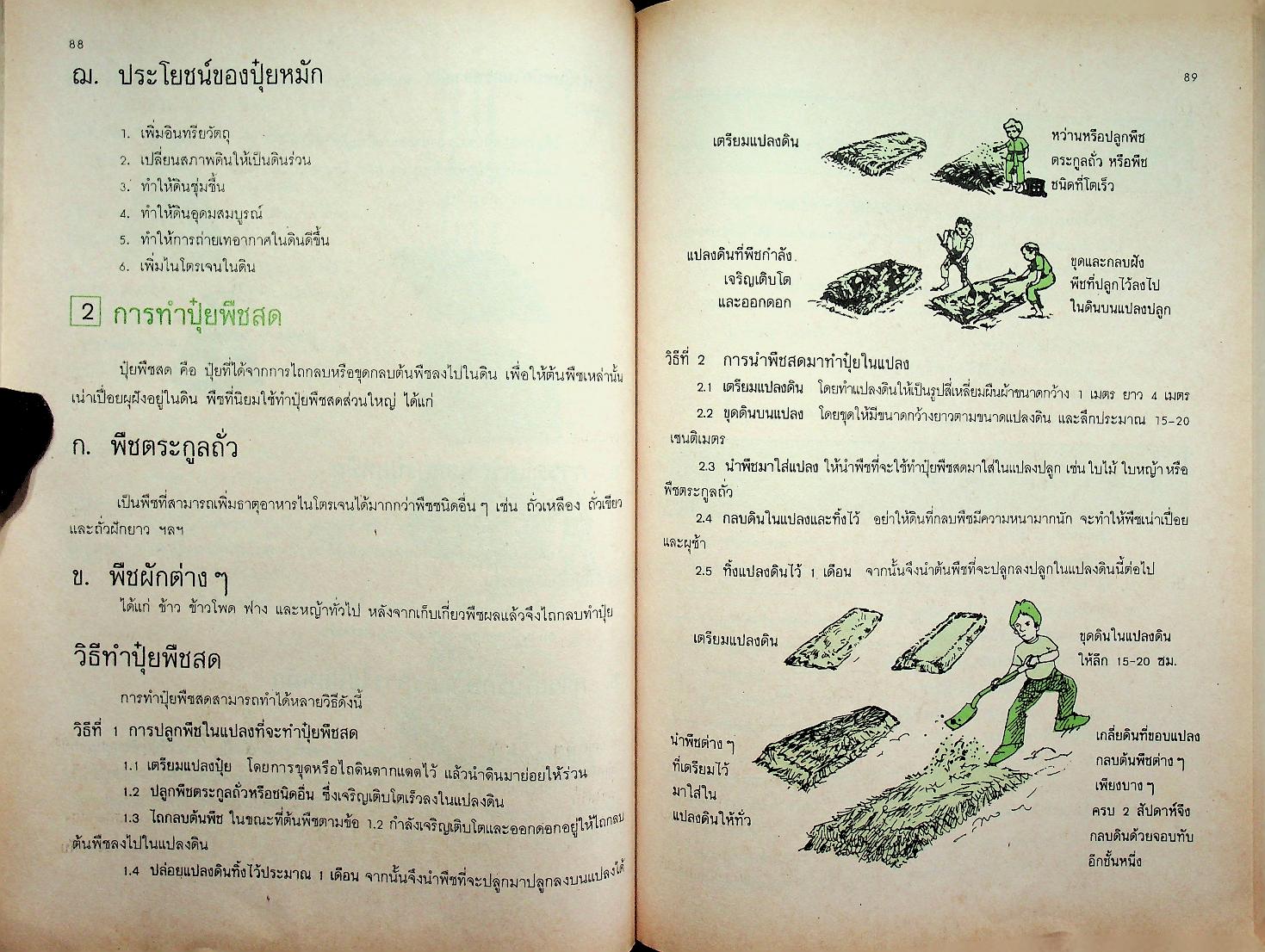 หนังสือเสริมประสบการณ์ กลุ่มการงานและพื้นฐานอาชีพ ชั้นประถมศึกษาปีที่ ๕