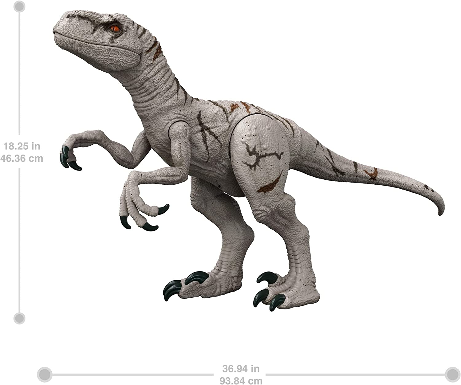 **MTS Toys**Mattel Jurassic World Dominion Super Colossal : HFR09 Arociraptor [ความยาวจากหัวถึงหาง 94 ซ.ม.]