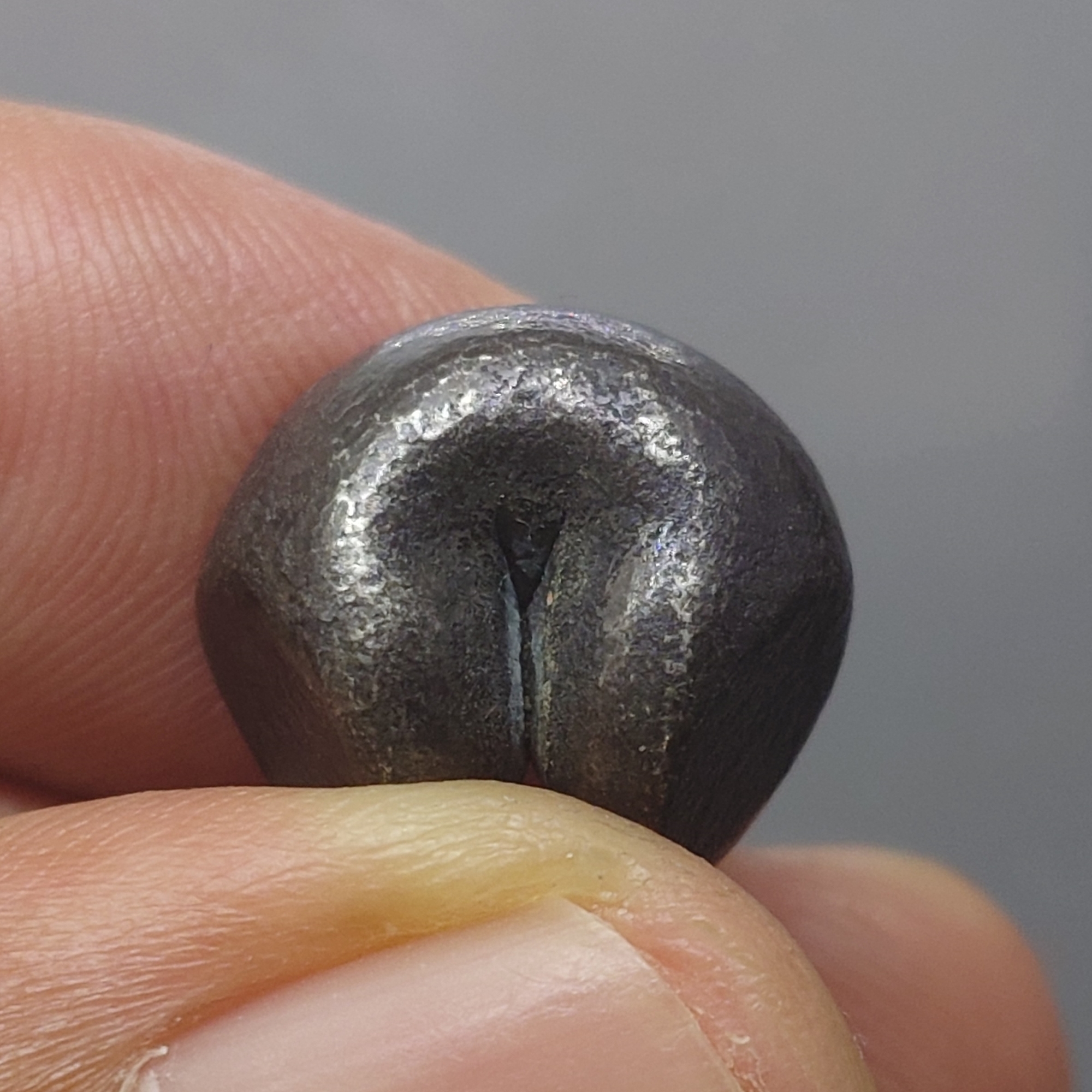 พดด้วง ขนาด 1 บาท ตราพระซ่อมดอกไม้-จักร สมัยอยุธยา พุทธศตวรรษที่ 19 - 24 ตรานิยม หายาก สภาพสวย