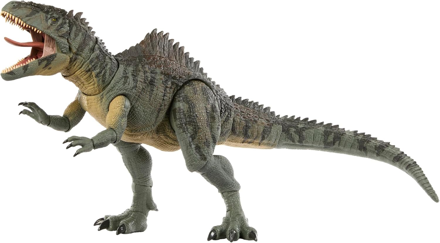 **MTS Toys**Mattel Jurassic World Hammond Collection : HXF57 Giganotosaurus [ความยาวจากหัวถึงหาง 72 ซ.ม.]